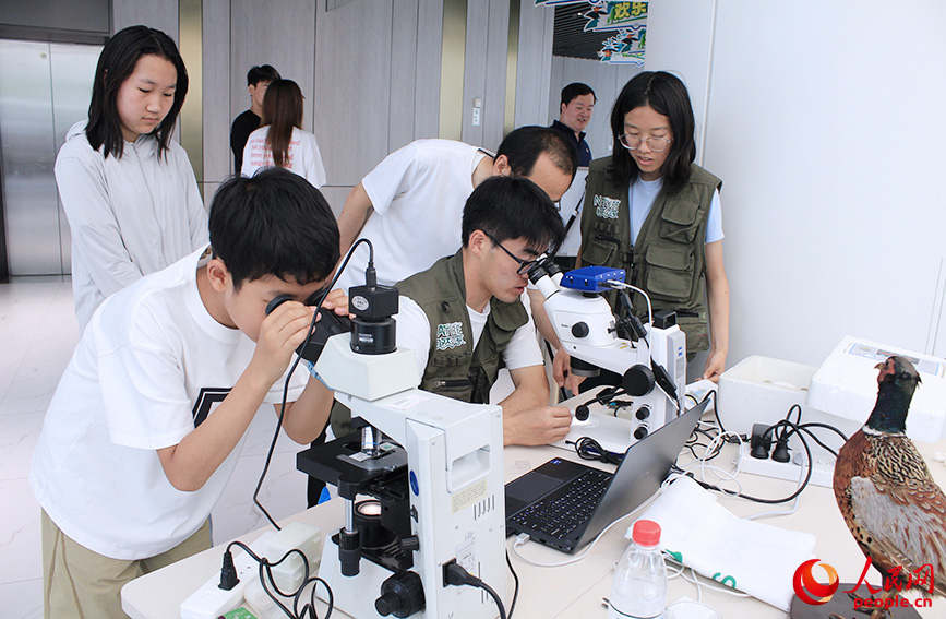 参观者观察动植物标本。人民网记者 张静淇摄