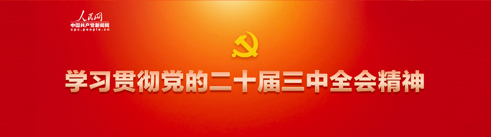 学习贯彻党的二十届三中全会精神